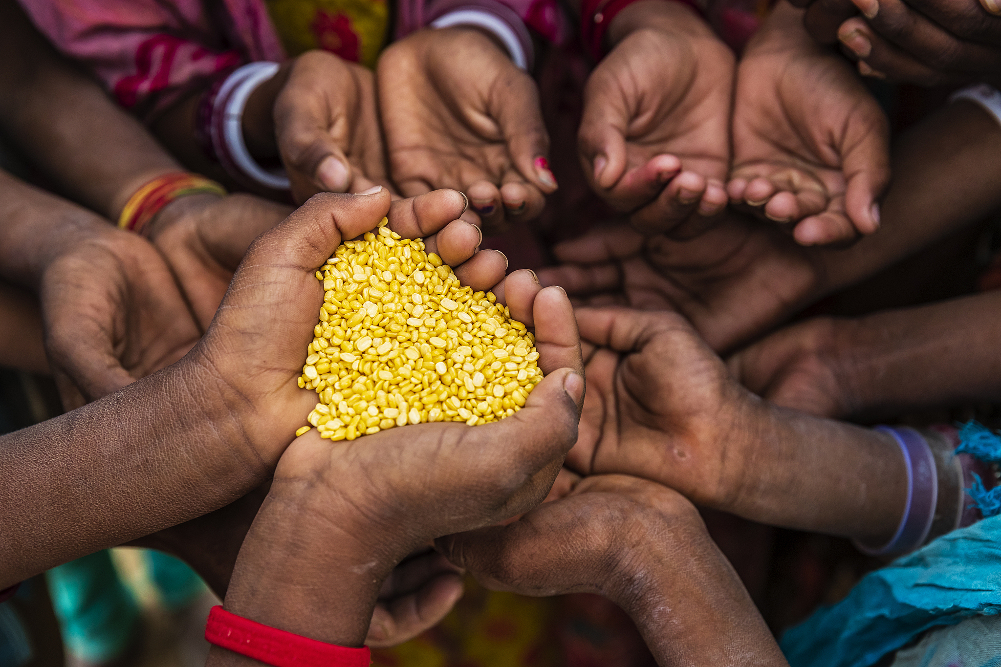 Climate Change Impact on Food Security and Human Health by Dr. Edmond Fernandes